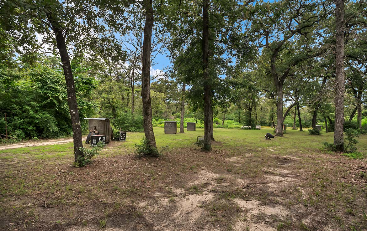 Pigman Ranch 169 Acre Ranch Limestone County Image 4