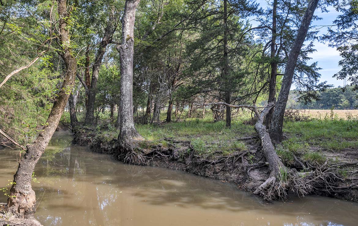 Soggy Bottom Ranch - Texas Ranch Sales, LLC