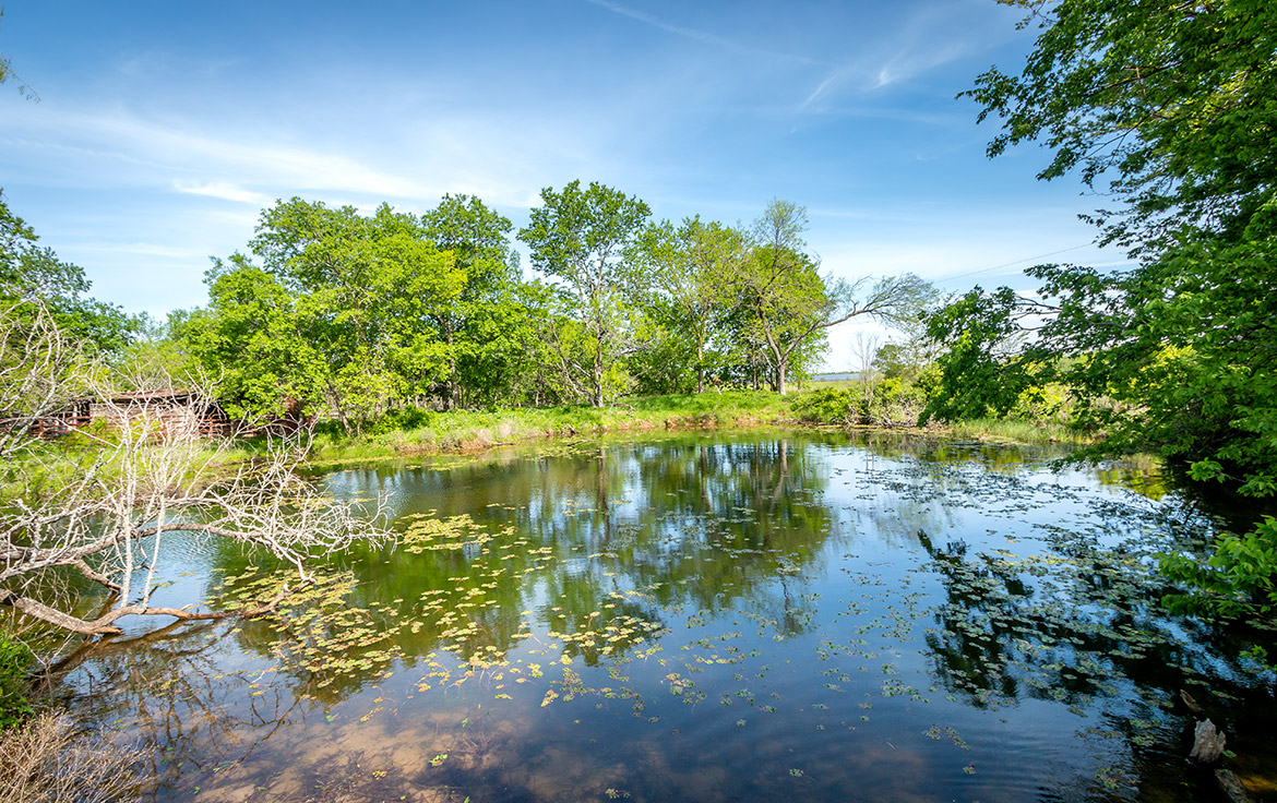 Sombreto Ranch 275 Acre Ranch Navarro County Image 1