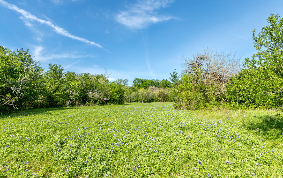 Sombreto Ranch 275 Acre Ranch Navarro County Image 11