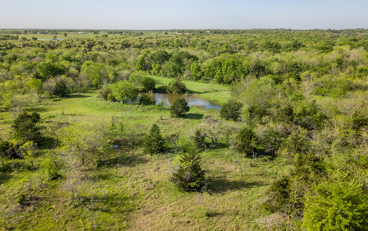 Sombreto Ranch 275 Acre Ranch Navarro County Image 13