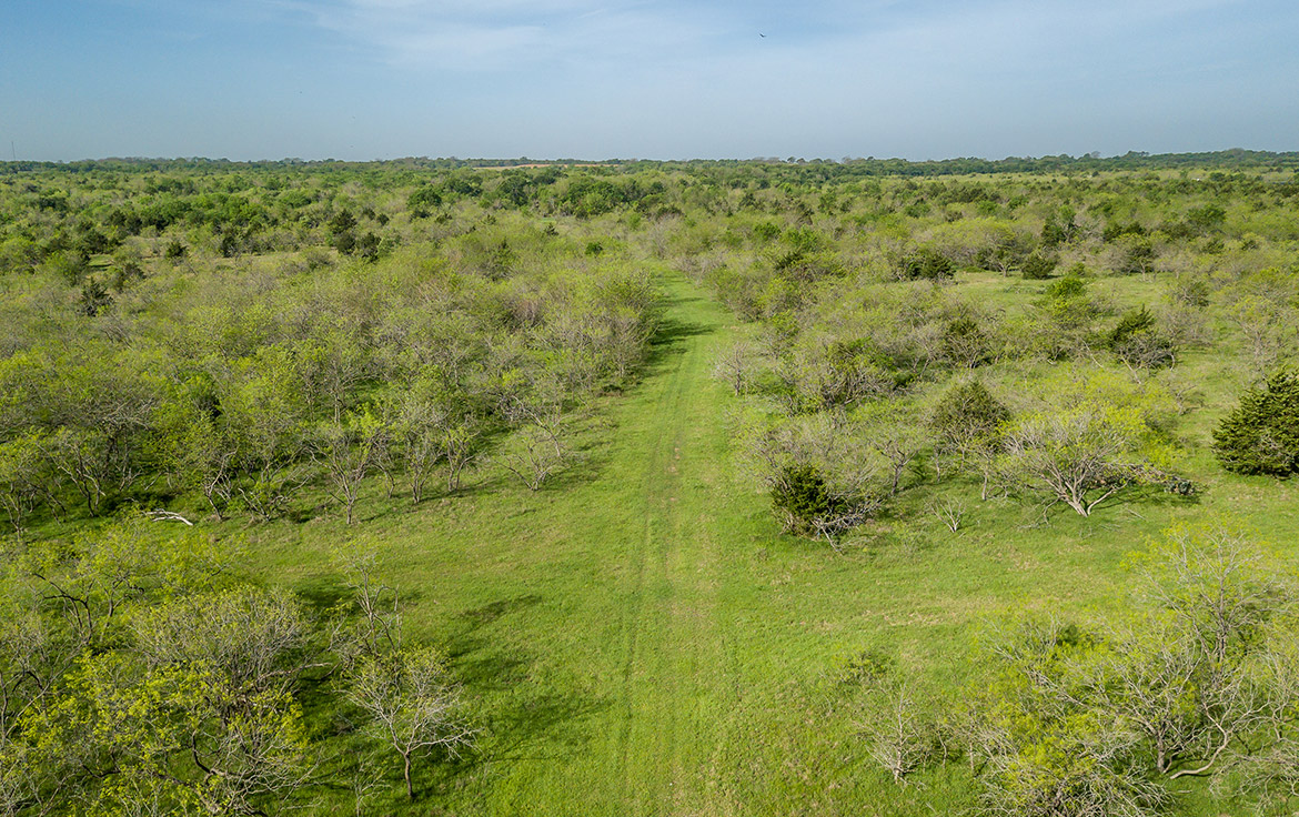 Sombreto Ranch 275 Acre Ranch Navarro County Image 14
