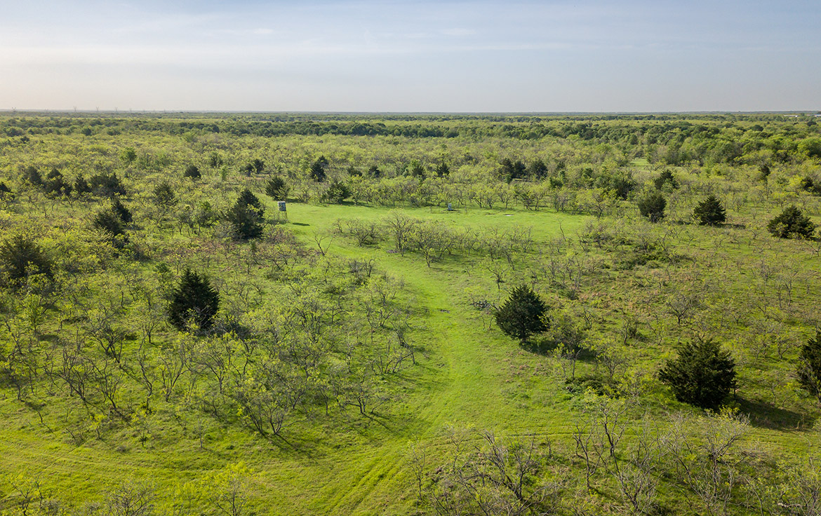 Sombreto Ranch 275 Acre Ranch Navarro County Image 15