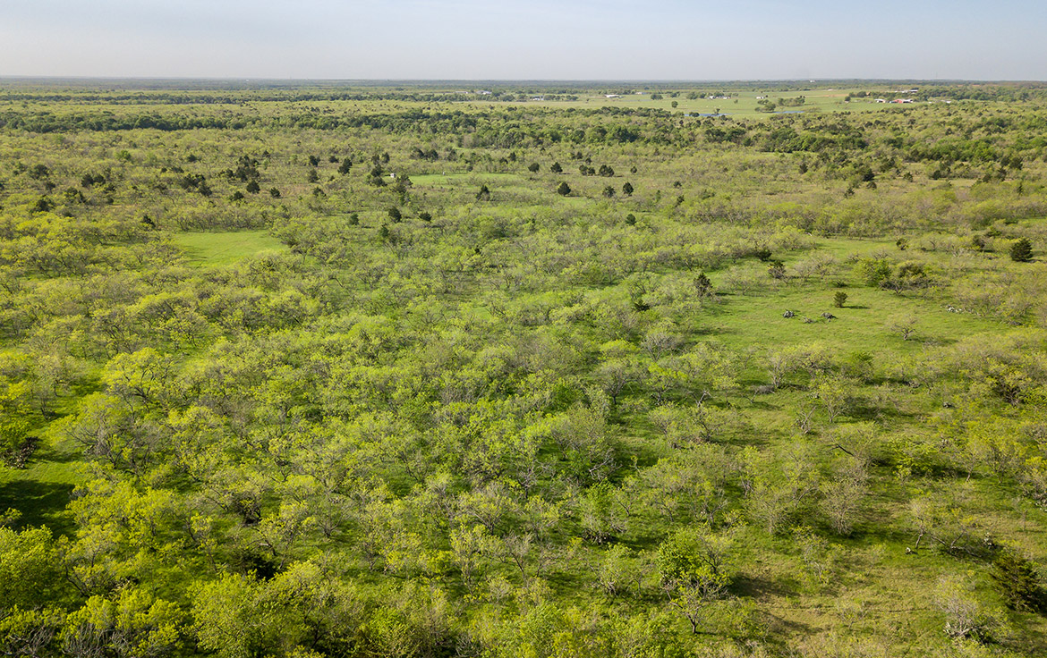 Sombreto Ranch 275 Acre Ranch Navarro County Image 16