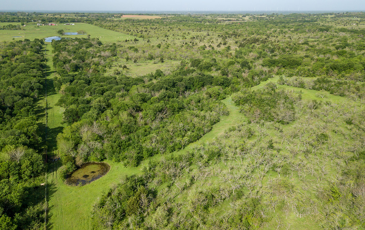 Sombreto Ranch 275 Acre Ranch Navarro County Image 17