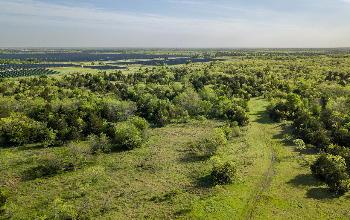 Sombreto Ranch 275 Acre Ranch Navarro County Image 18
