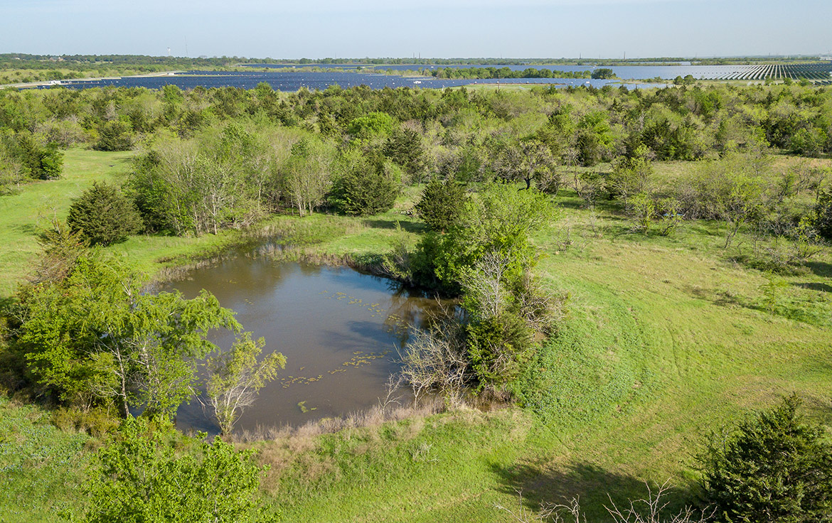 Sombreto Ranch 275 Acre Ranch Navarro County Image 19