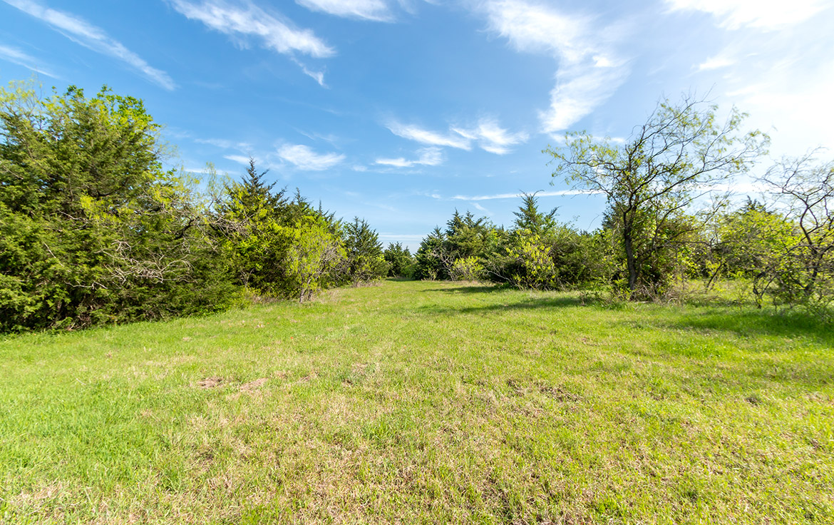 Sombreto Ranch 275 Acre Ranch Navarro County Image 2