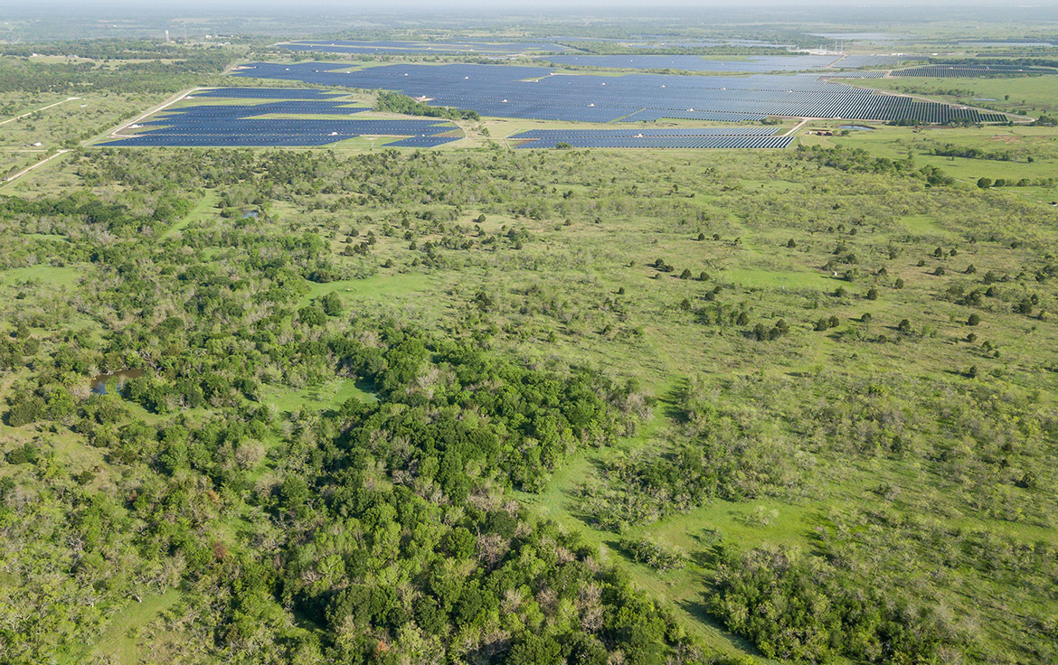 Sombreto Ranch 275 Acre Ranch Navarro County Image 20