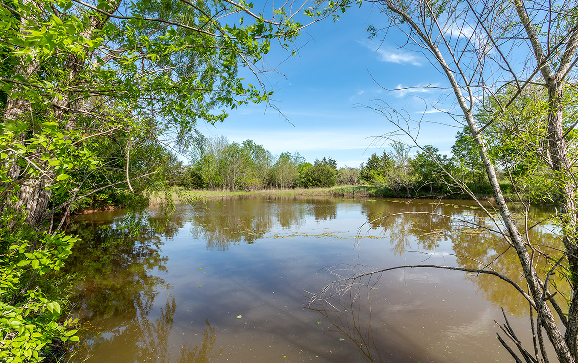 Sombreto Ranch 275 Acre Ranch Navarro County Image 3