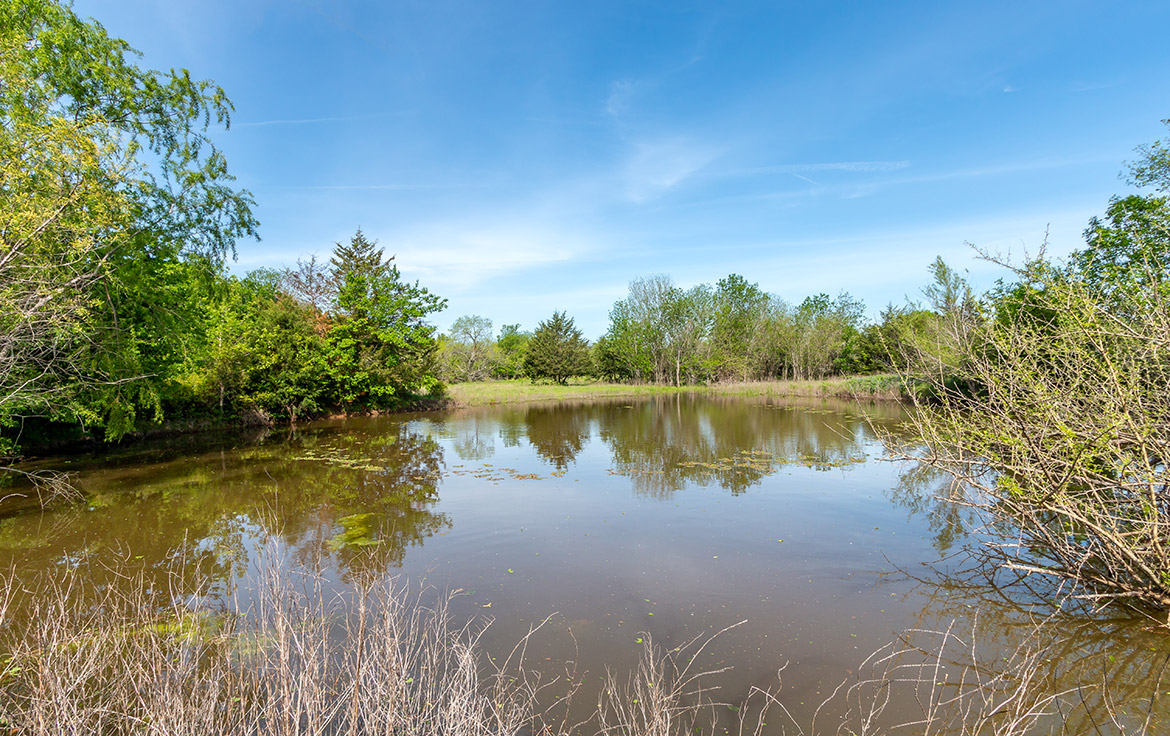 Sombreto Ranch 275 Acre Ranch Navarro County Image 4