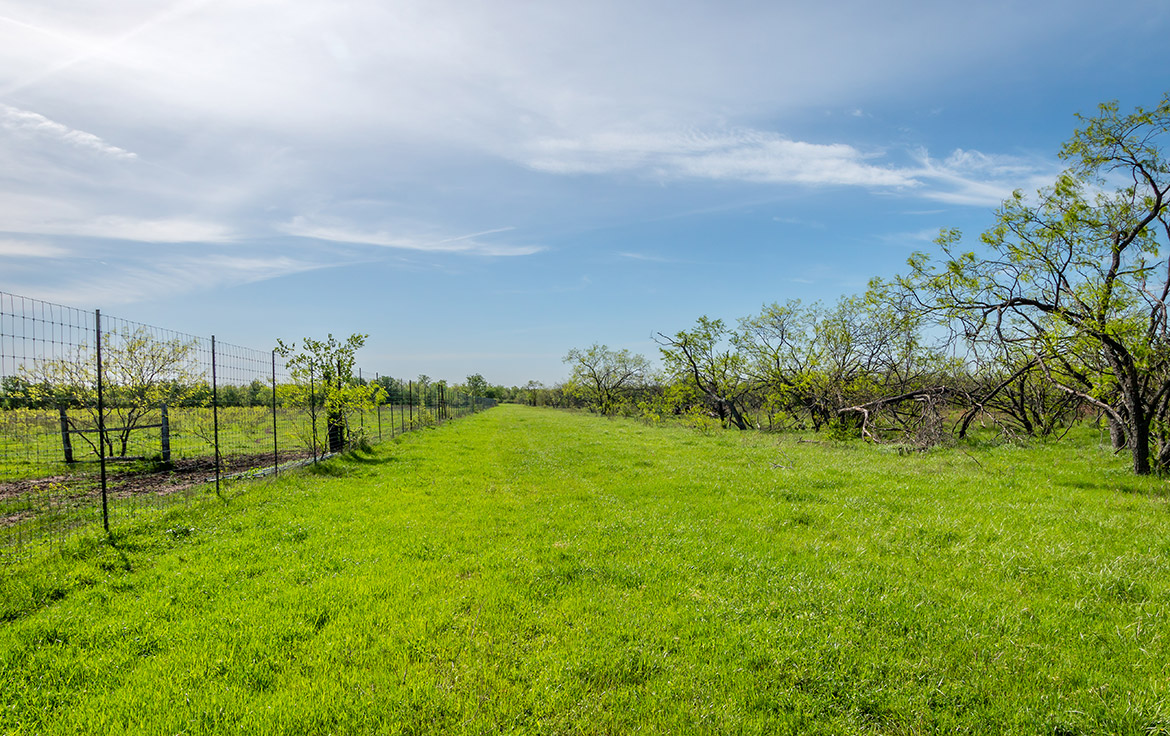 Sombreto Ranch 275 Acre Ranch Navarro County Image 6
