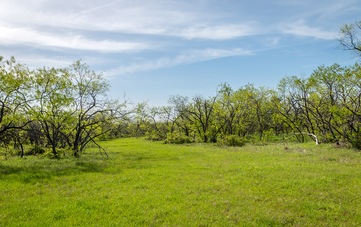 Sombreto Ranch 275 Acre Ranch Navarro County Image 7