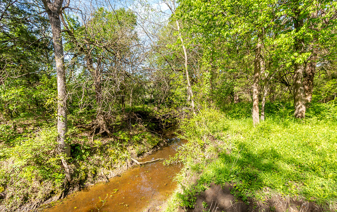 Sombreto Ranch 275 Acre Ranch Navarro County Image 8