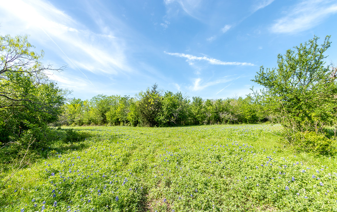 Sombreto Ranch 275 Acre Ranch Navarro County Image 9