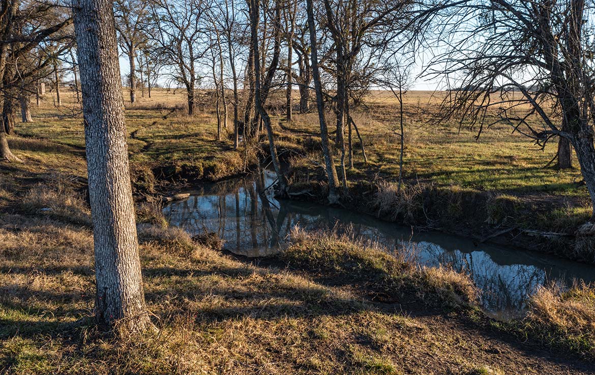 Yates Ranch 288 Acre Ranch Navarro County Image 1