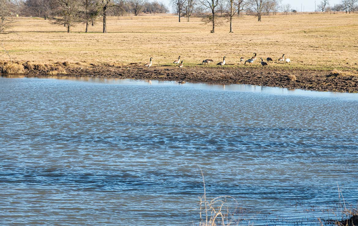 Yates Ranch 288 Acre Ranch Navarro County Image 3