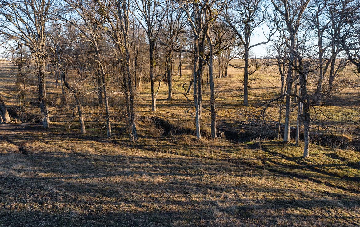 Yates Ranch 288 Acre Ranch Navarro County Image 4