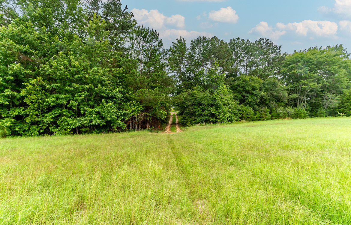 The Atwood Ranch Texas Ranch Sales, LLC