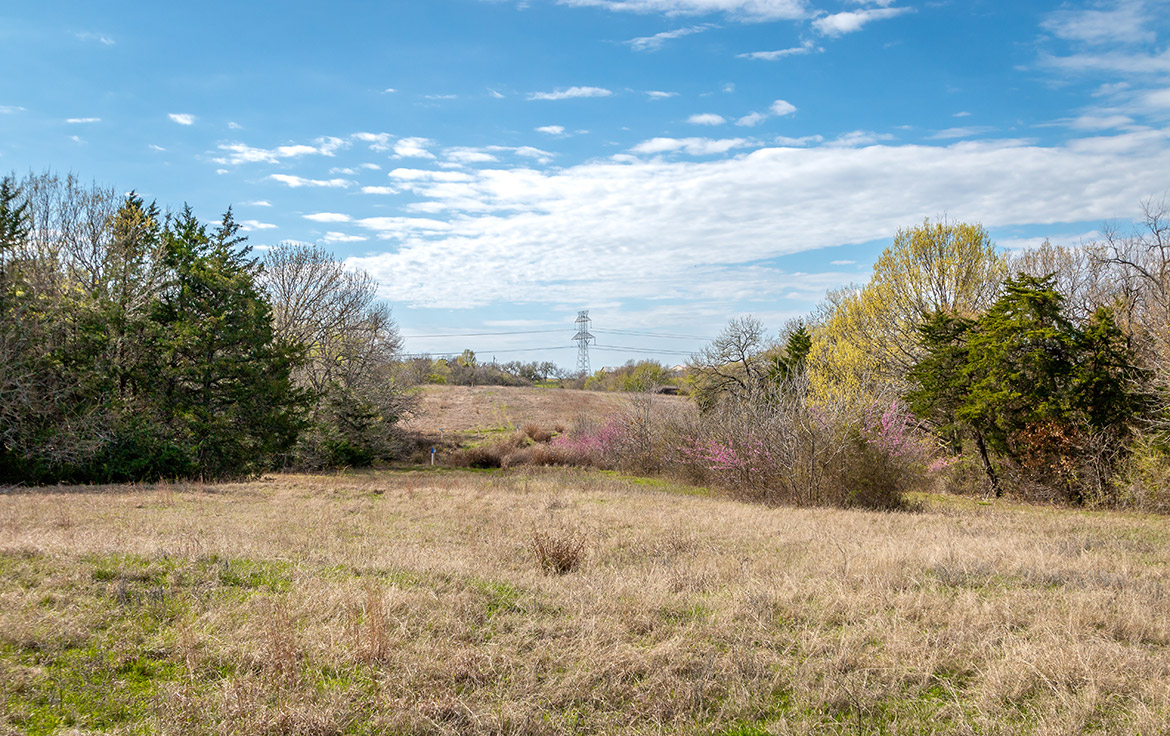 South Paw Ranch 59 Acre Ranch Collin County Image 13