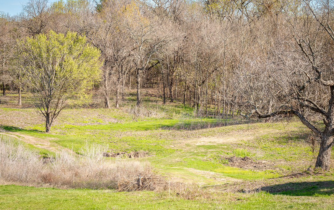 South Paw Ranch 59 Acre Ranch Collin County Image 14
