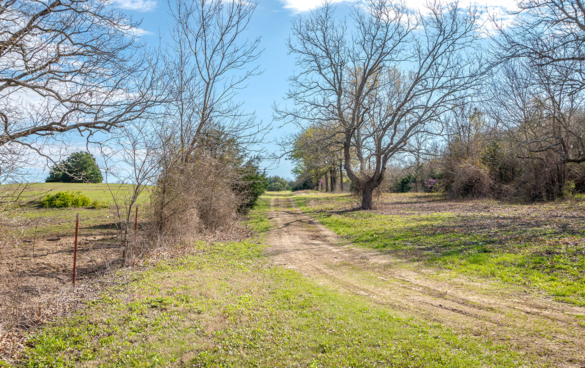South Paw Ranch 59 Acre Ranch Collin County Image 15