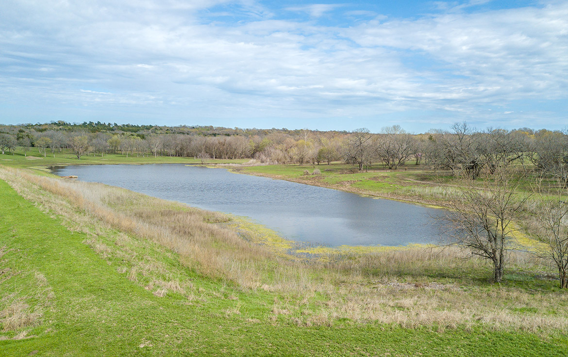 South Paw Ranch 59 Acre Ranch Collin County Image 8