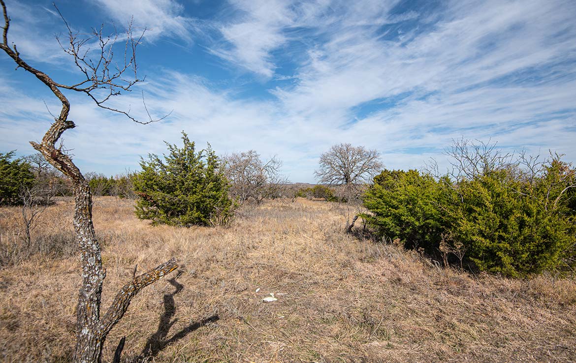 Perrin Farm 253 Acre Ranch Jack County Image 1