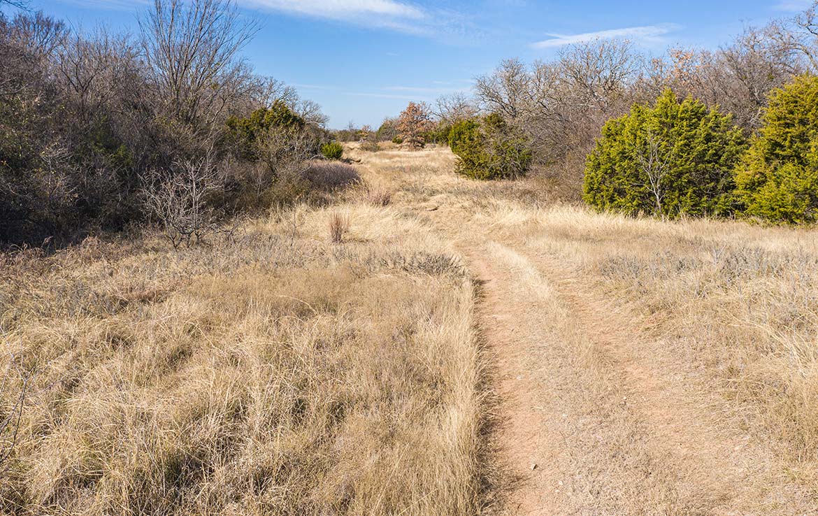 Perrin Farm 253 Acre Ranch Jack County Image 3