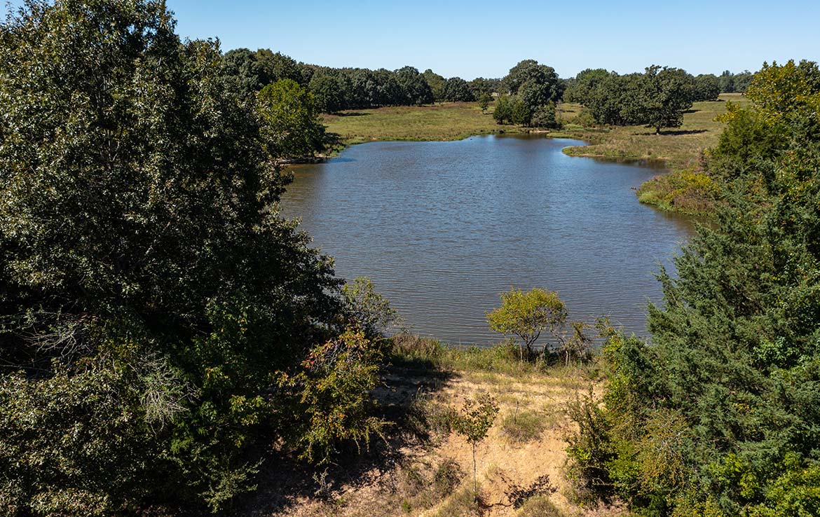 Coleman Ranch 340 Acre Ranch Lamar County Image 11
