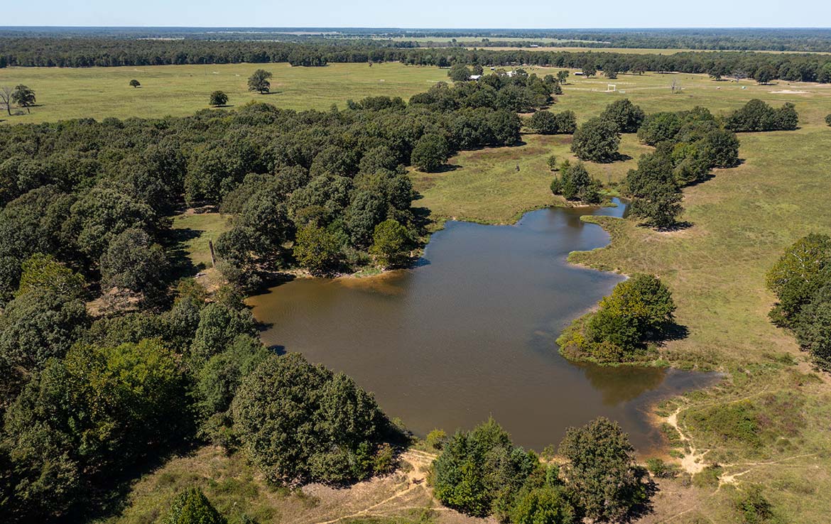 Coleman Ranch 340 Acre Ranch Lamar County Image 12