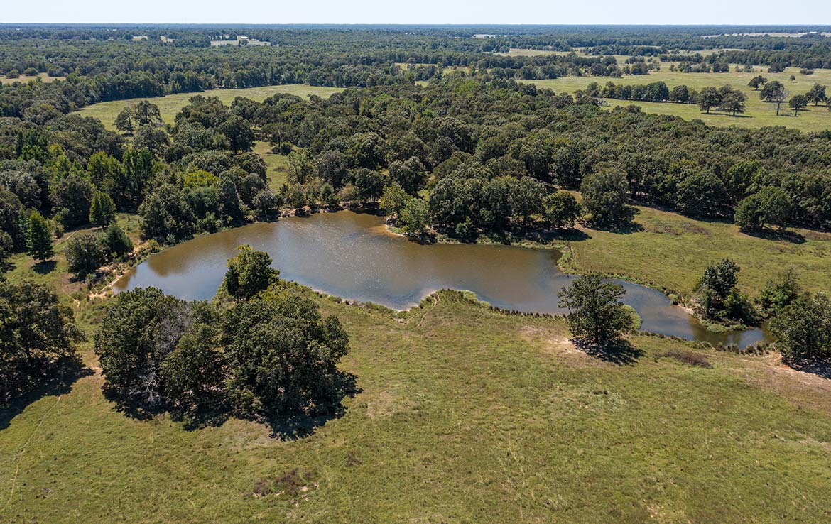 Coleman Ranch 340 Acre Ranch Lamar County Image 13