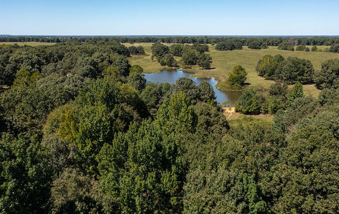 Coleman Ranch 340 Acre Ranch Lamar County Image 16