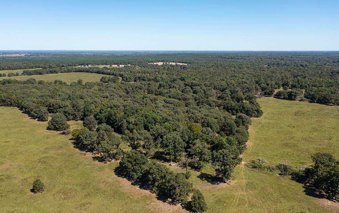 Coleman Ranch 340 Acre Ranch Lamar County Image 18