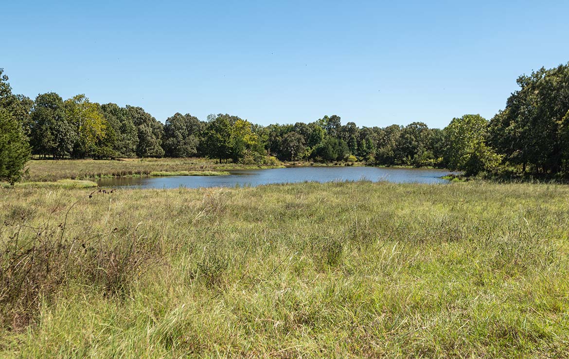 Coleman Ranch 340 Acre Ranch Lamar County Image 3