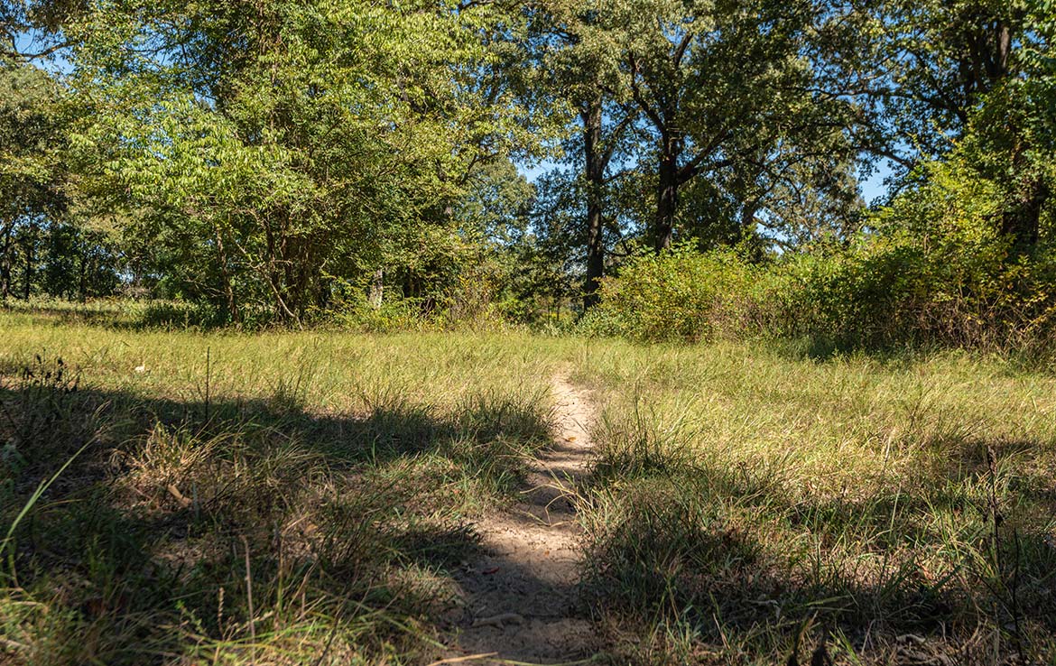 Coleman Ranch 340 Acre Ranch Lamar County Image 8