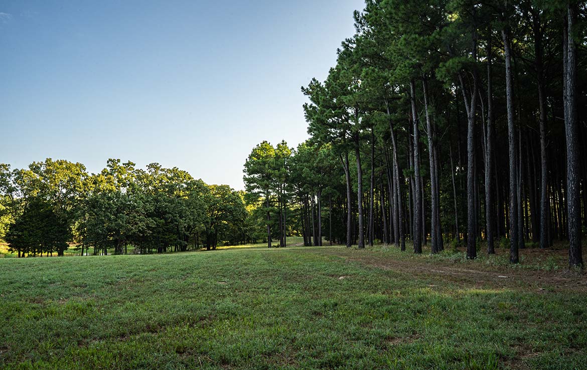Pine Meadow 191 Acre Ranch Wood County Image 13