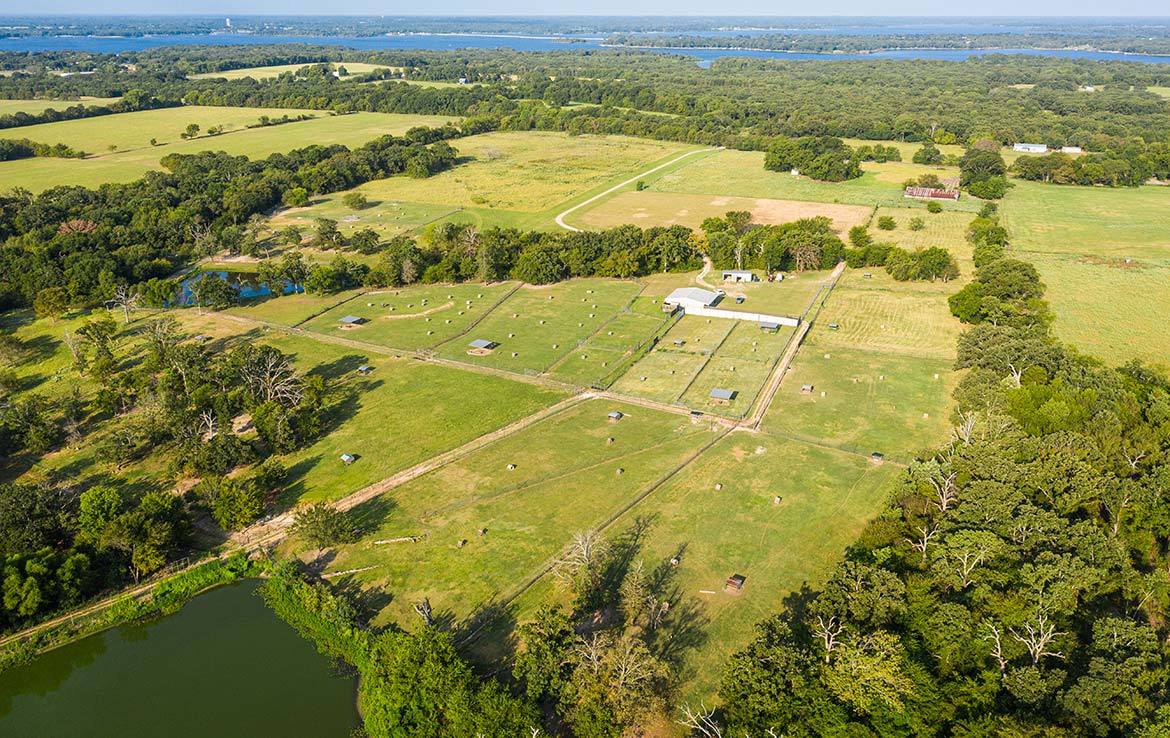 Pine Meadow 191 Acre Ranch Wood County Image 19