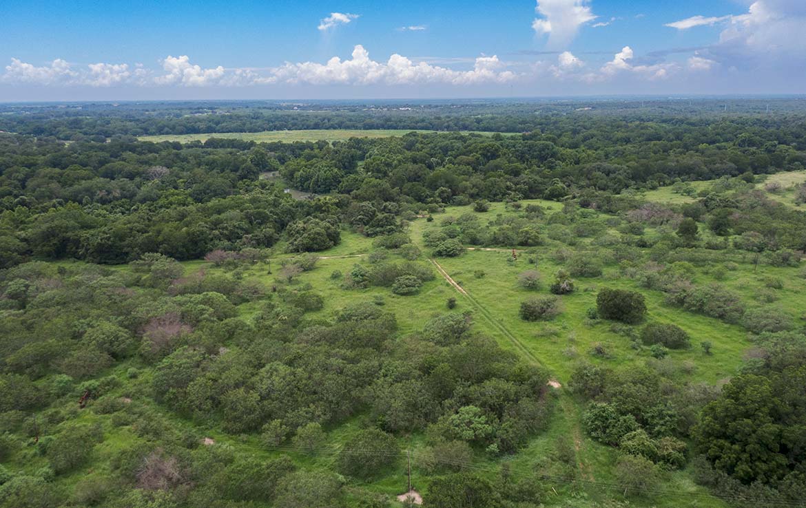 River Run Ranch 119 Acre Ranch Guadalupe County Image 19