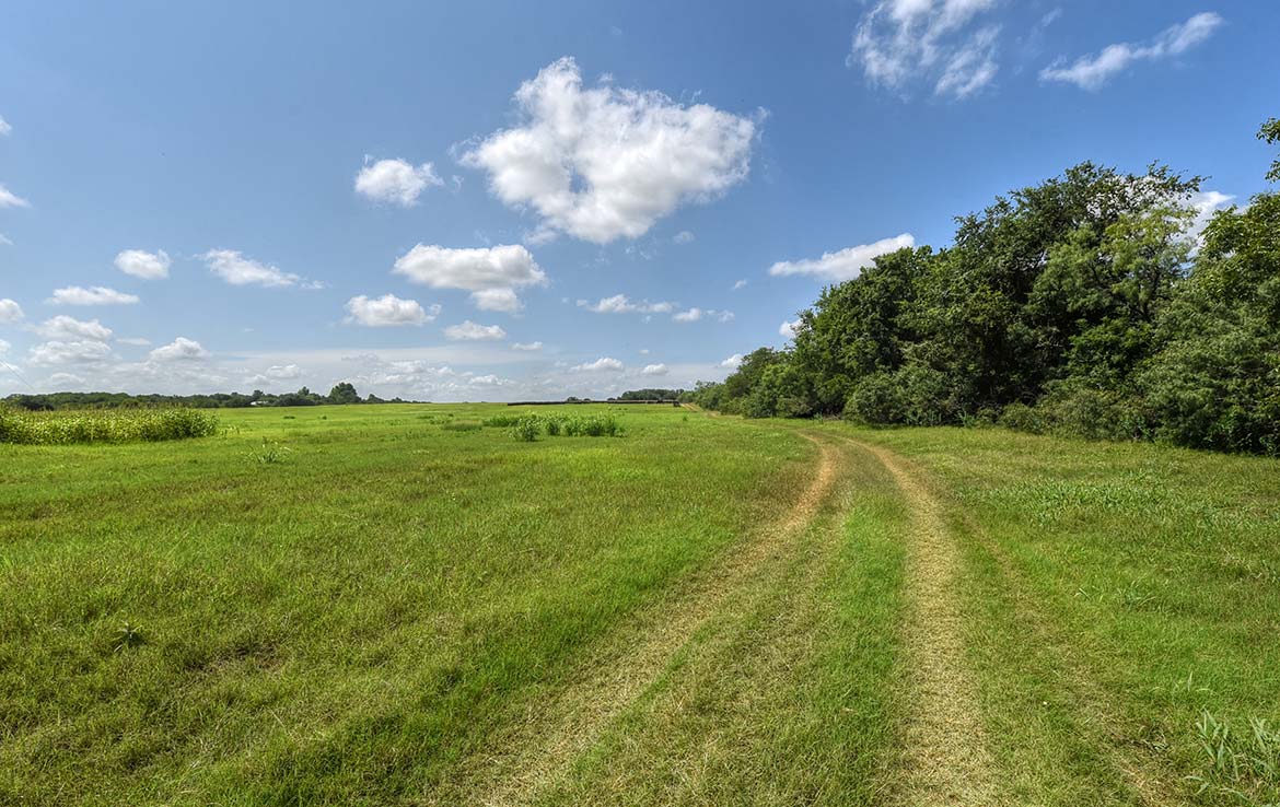 River View Ranch 150 Acre Ranch Guadalupe County Image 13