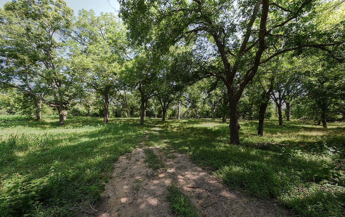 River View Ranch 150 Acre Ranch Guadalupe County Image 14