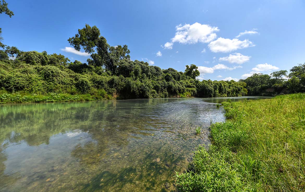 River View Ranch 150 Acre Ranch Guadalupe County Image 15