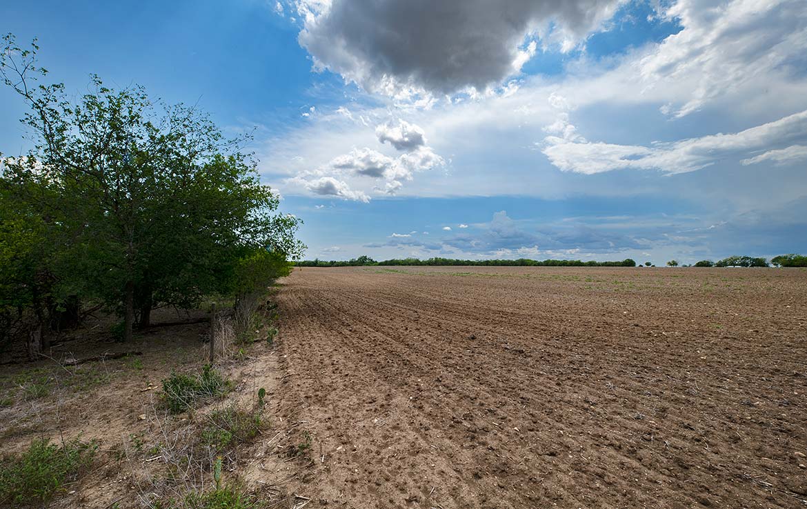 San Geronimo Ranch 110 Acre Ranch Medina County Image 3