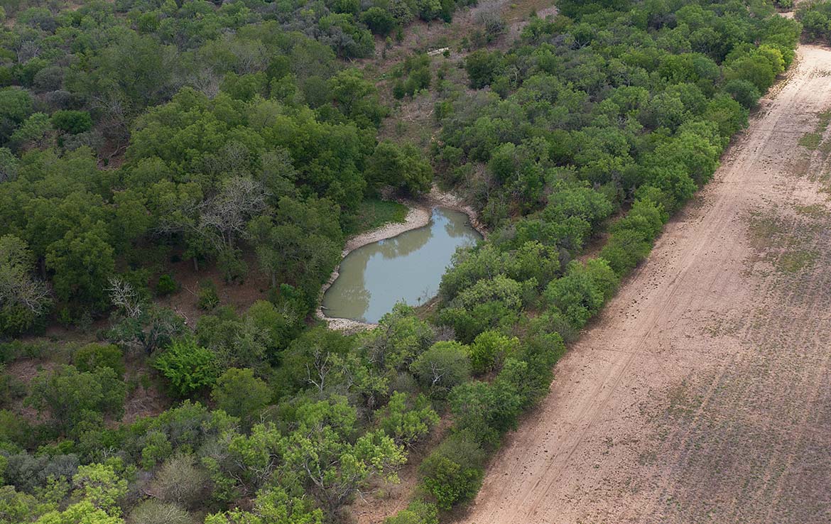 San Geronimo Ranch 110 Acre Ranch Medina County Image 8
