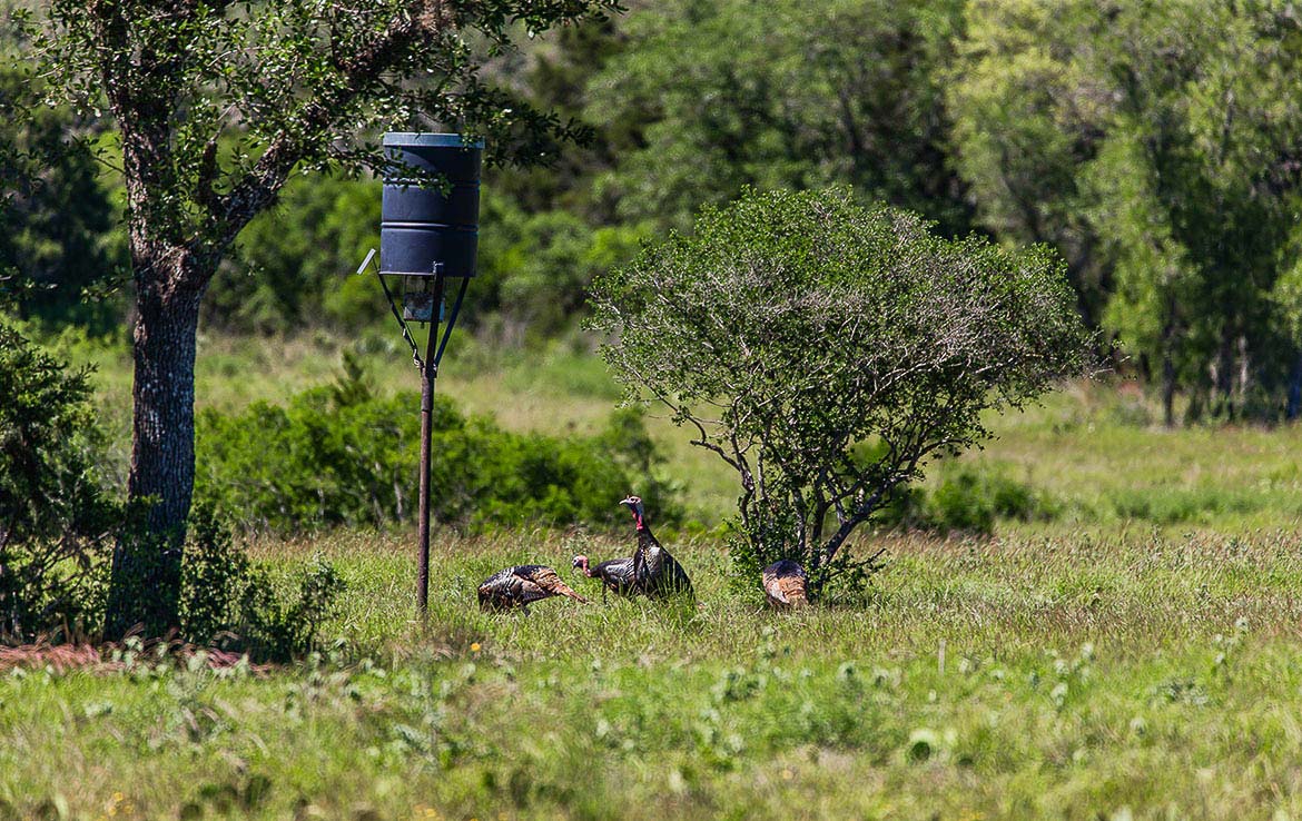 Rock Creek Ranch 1500 Acres Medina County Image 13