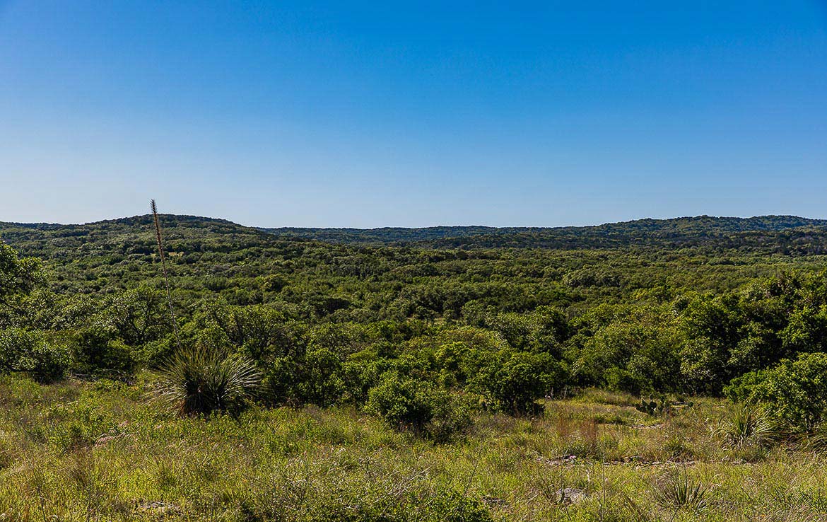 Rock Creek Ranch 1500 Acres Medina County Image 8