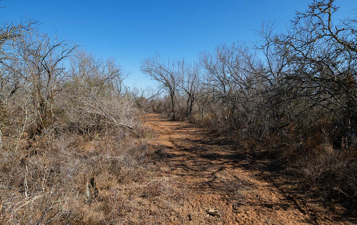 Hondo Hideaway Ranch 20 Acre Ranch Medina County Image 6
