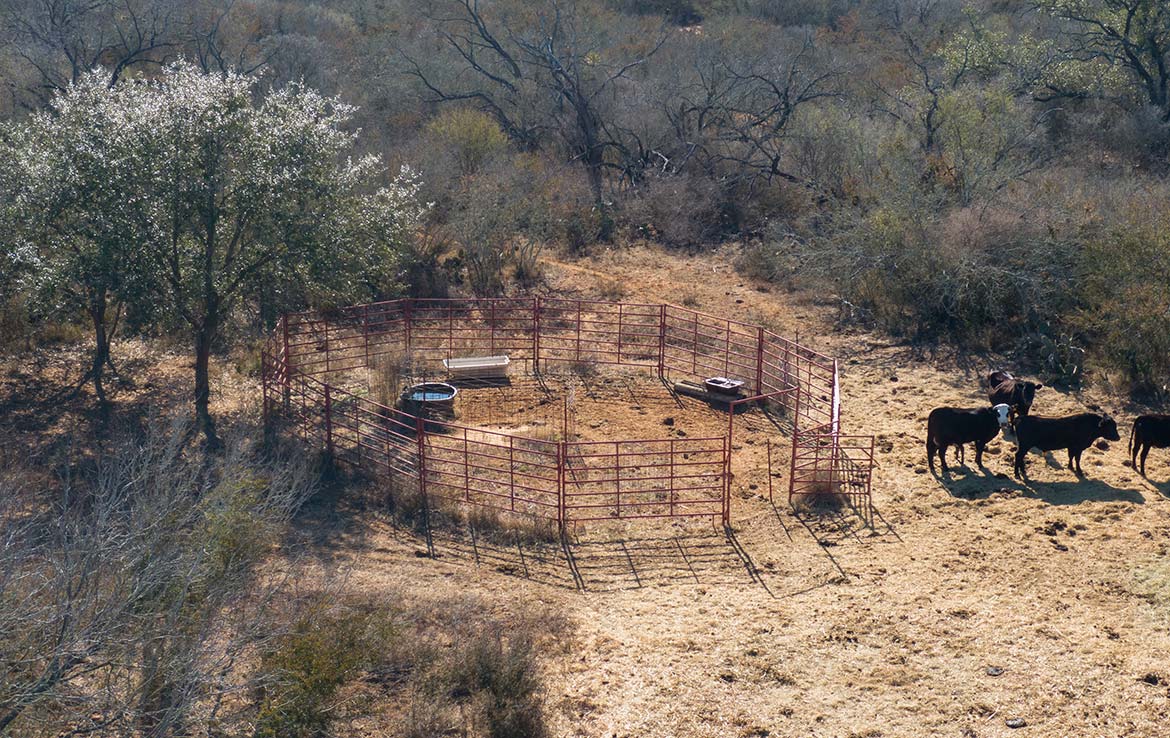 Hondo Hideaway Ranch 20 Acre Ranch Medina County Image 8