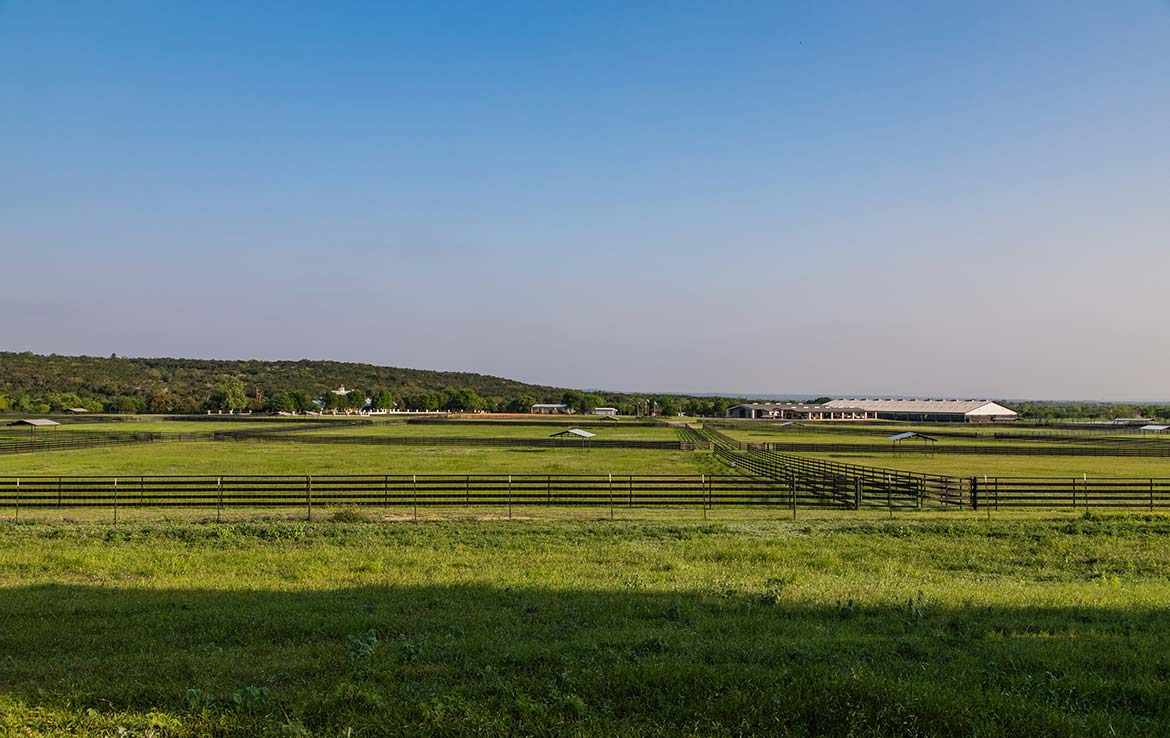 High Chaparral Ranch 200 Acre Ranch Medina County Image 11