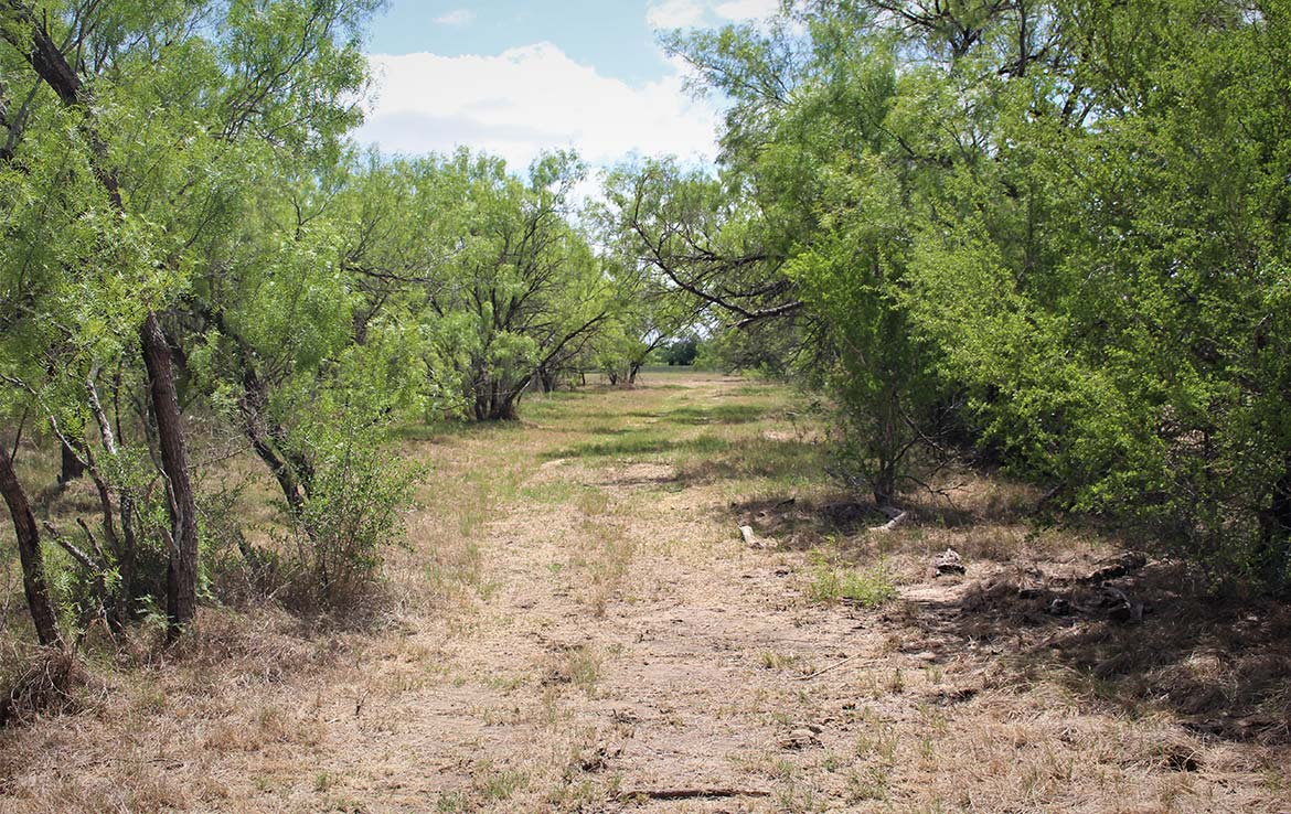 Pecan Acres 32 Acre Ranch Medina County Image 1